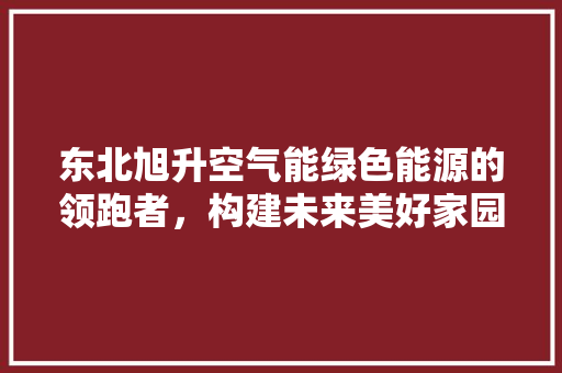 东北旭升空气能绿色能源的领跑者，构建未来美好家园