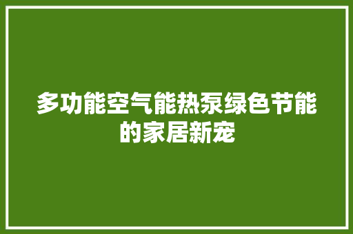 多功能空气能热泵绿色节能的家居新宠