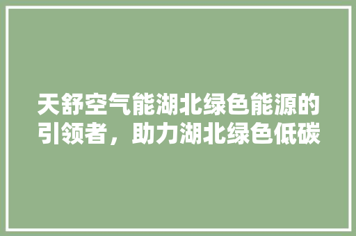 天舒空气能湖北绿色能源的引领者，助力湖北绿色低碳发展