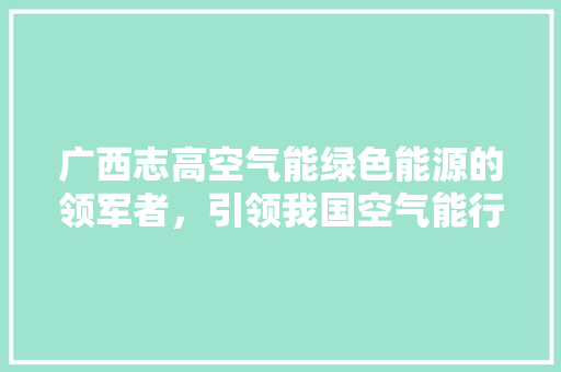 广西志高空气能绿色能源的领军者，引领我国空气能行业蓬勃发展