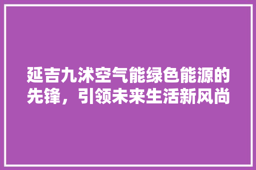 延吉九沭空气能绿色能源的先锋，引领未来生活新风尚