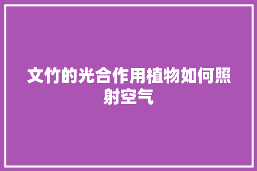 文竹的光合作用植物如何照射空气