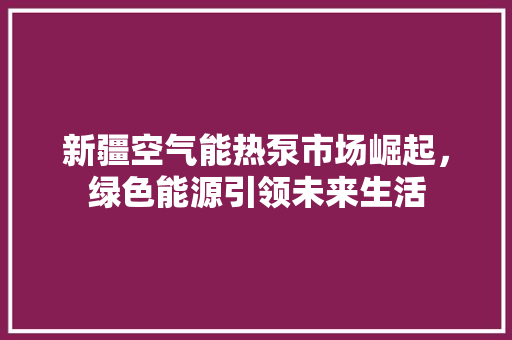 新疆空气能热泵市场崛起，绿色能源引领未来生活
