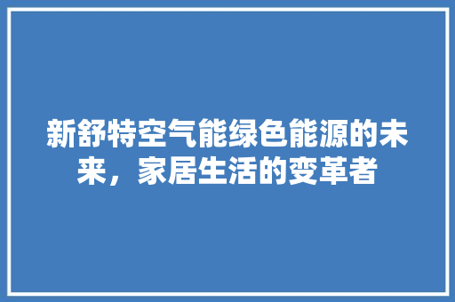 新舒特空气能绿色能源的未来，家居生活的变革者