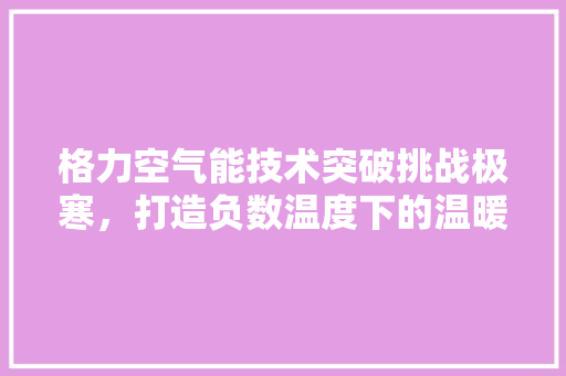 格力空气能技术突破挑战极寒，打造负数温度下的温暖家园