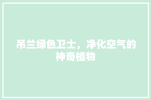 吊兰绿色卫士，净化空气的神奇植物