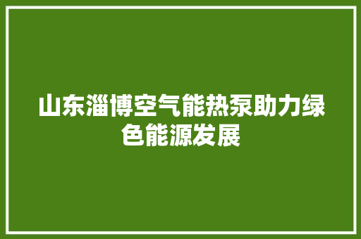 山东淄博空气能热泵助力绿色能源发展