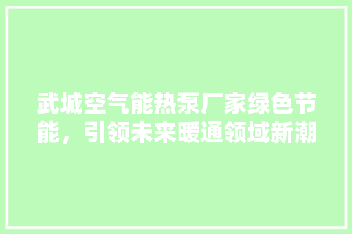 武城空气能热泵厂家绿色节能，引领未来暖通领域新潮流