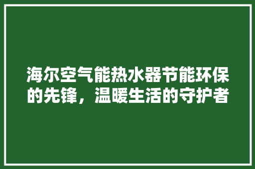 海尔空气能热水器节能环保的先锋，温暖生活的守护者