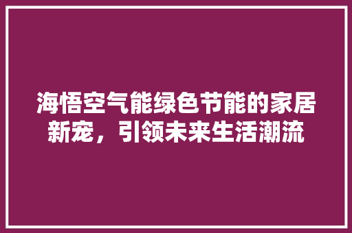 海悟空气能绿色节能的家居新宠，引领未来生活潮流