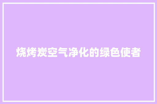 烧烤炭空气净化的绿色使者