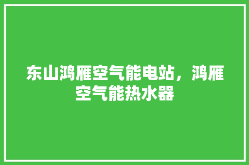 东山鸿雁空气能电站，鸿雁空气能热水器 家电维修