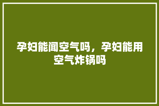 孕妇能闻空气吗，孕妇能用空气炸锅吗
