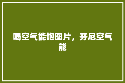 喝空气能饱图片，芬尼空气能 综合便民