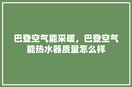 巴登空气能采暖，巴登空气能热水器质量怎么样 厨房维修