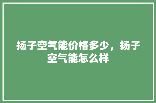 扬子空气能价格多少，扬子空气能怎么样 厨房维修