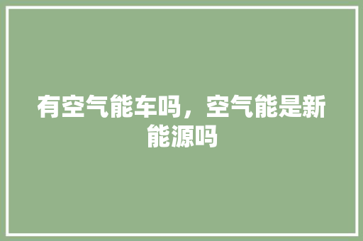 有空气能车吗，空气能是新能源吗 汽车维修