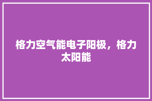 格力空气能电子阳极，格力太阳能 家电维修