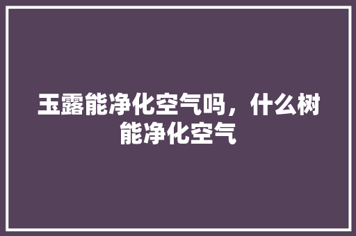 玉露能净化空气吗，什么树能净化空气