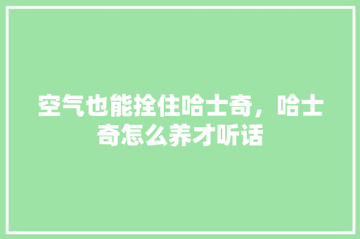 空气也能拴住哈士奇，哈士奇怎么养才听话 家电维修