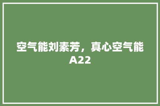 空气能刘素芳，真心空气能A22