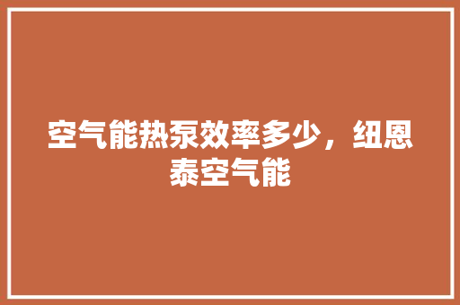 空气能热泵效率多少，纽恩泰空气能