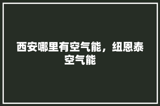 西安哪里有空气能，纽恩泰空气能 墙体维修