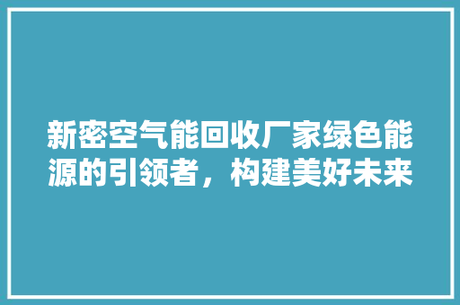 新密空气能回收厂家绿色能源的引领者，构建美好未来