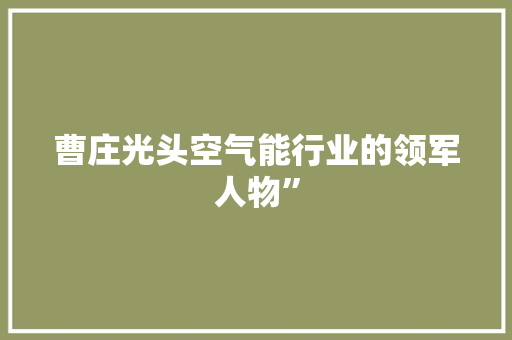 曹庄光头空气能行业的领军人物”