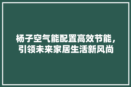 杨子空气能配置高效节能，引领未来家居生活新风尚 厨房维修