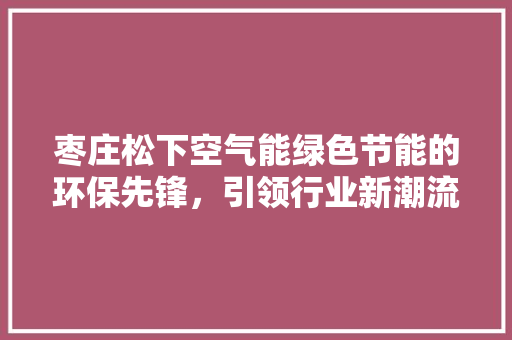 枣庄松下空气能绿色节能的环保先锋，引领行业新潮流