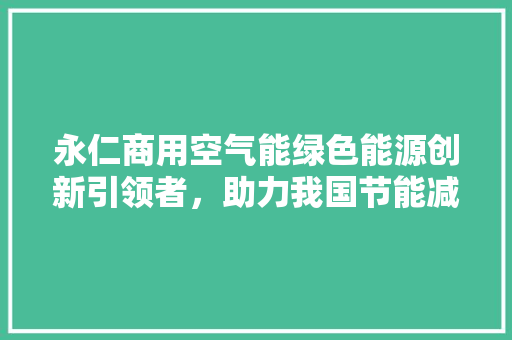 永仁商用空气能绿色能源创新引领者，助力我国节能减排事业