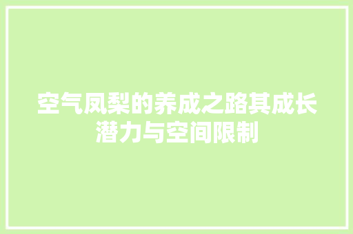 空气凤梨的养成之路其成长潜力与空间限制