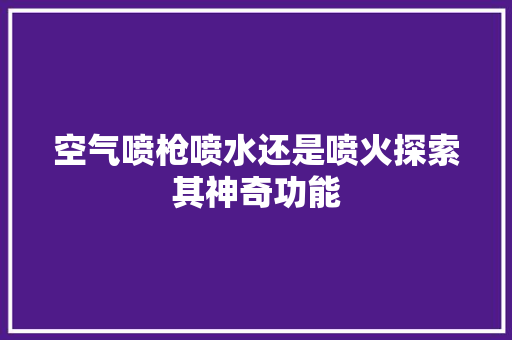 空气喷枪喷水还是喷火探索其神奇功能
