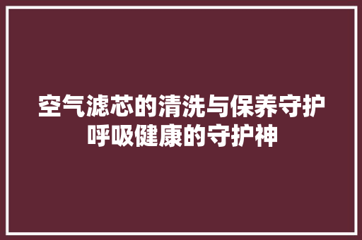 空气滤芯的清洗与保养守护呼吸健康的守护神