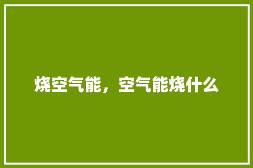 烧空气能，空气能烧什么