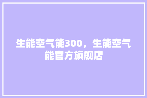 生能空气能300，生能空气能官方旗舰店