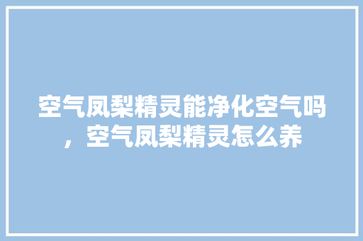 空气凤梨精灵能净化空气吗，空气凤梨精灵怎么养