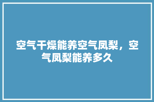 空气干燥能养空气凤梨，空气凤梨能养多久