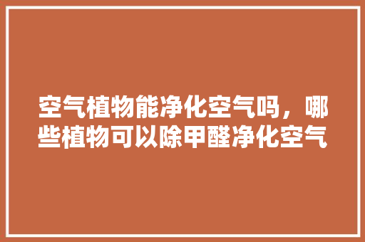 空气植物能净化空气吗，哪些植物可以除甲醛净化空气