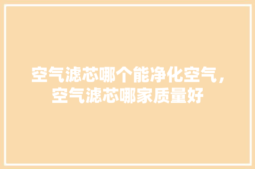 空气滤芯哪个能净化空气，空气滤芯哪家质量好 汽车维修