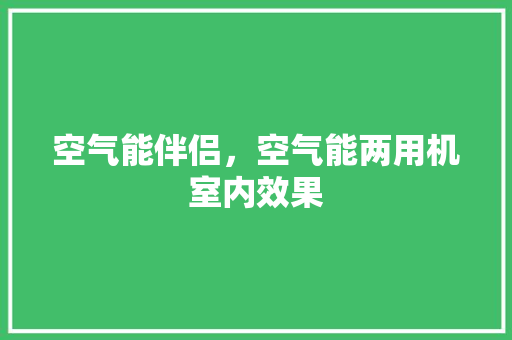 空气能伴侣，空气能两用机室内效果
