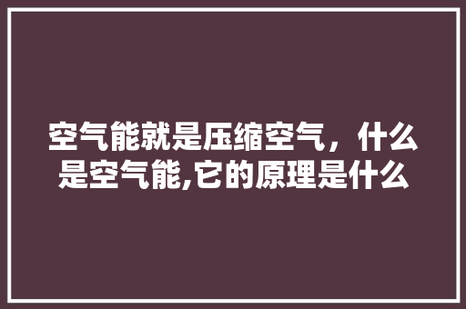 空气能就是压缩空气，什么是空气能,它的原理是什么 汽车维修
