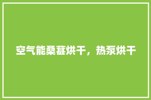 空气能桑葚烘干，热泵烘干