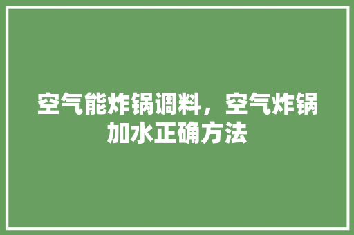 空气能炸锅调料，空气炸锅加水正确方法 汽车维修