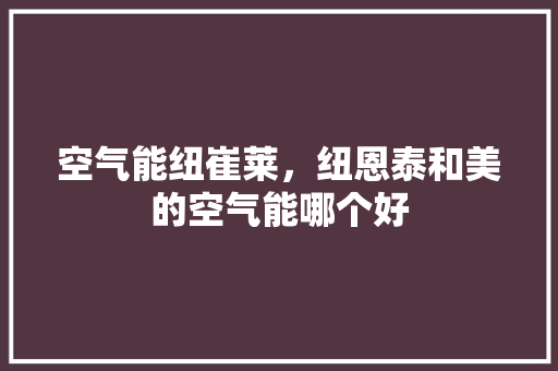 空气能纽崔莱，纽恩泰和美的空气能哪个好 厨房维修