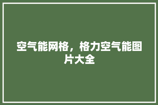 空气能网格，格力空气能图片大全 厨房维修