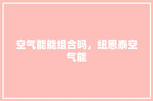 空气能能组合吗，纽恩泰空气能