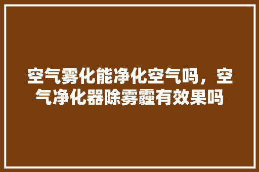 空气雾化能净化空气吗，空气净化器除雾霾有效果吗