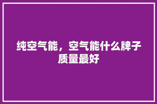 纯空气能，空气能什么牌子质量最好